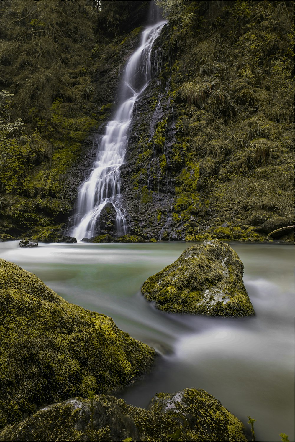 green moss on brown rock near waterfalls