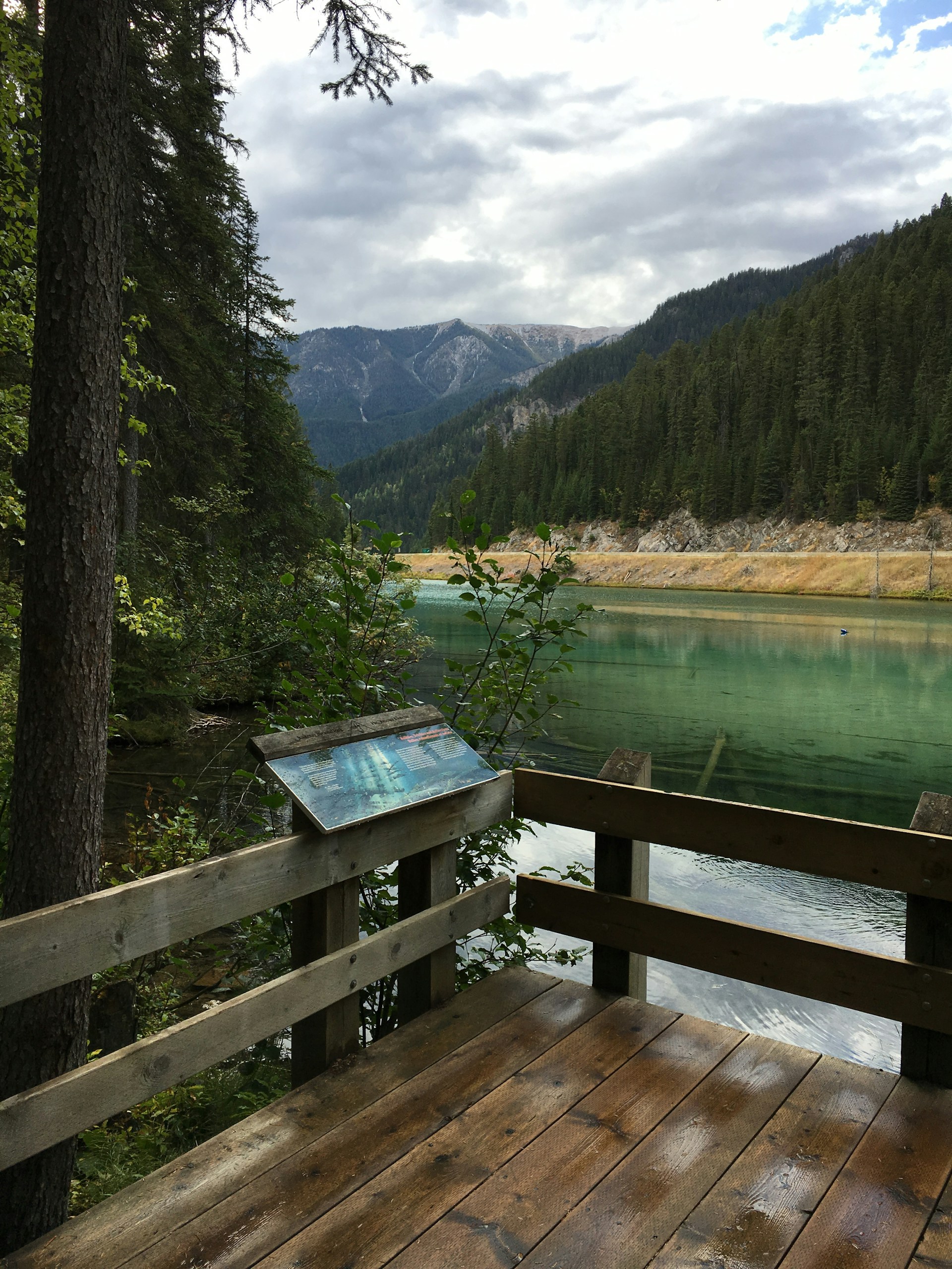 woman wearing yellow long-sleeved dress under white clouds and blue sky during daytime