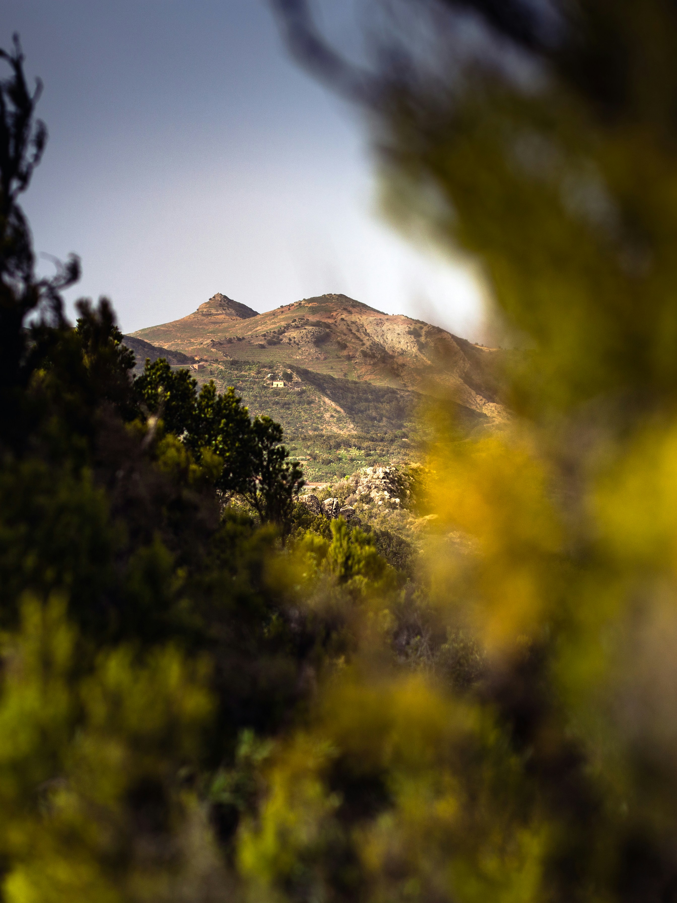 Photo by marekpiwnicki