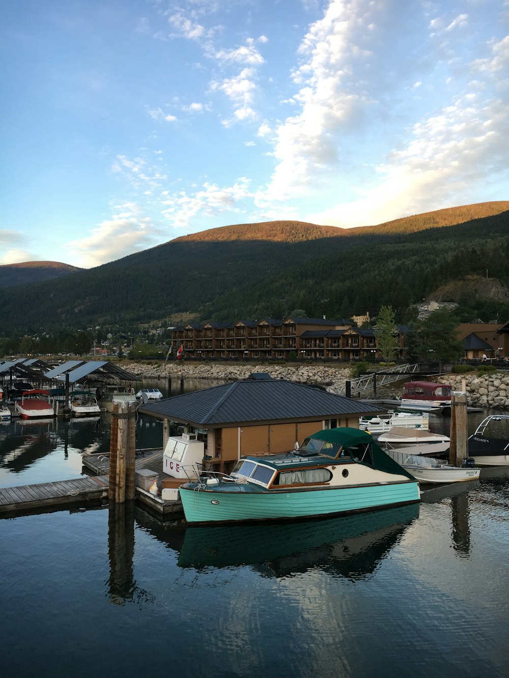 green and white boat on dock during daytime