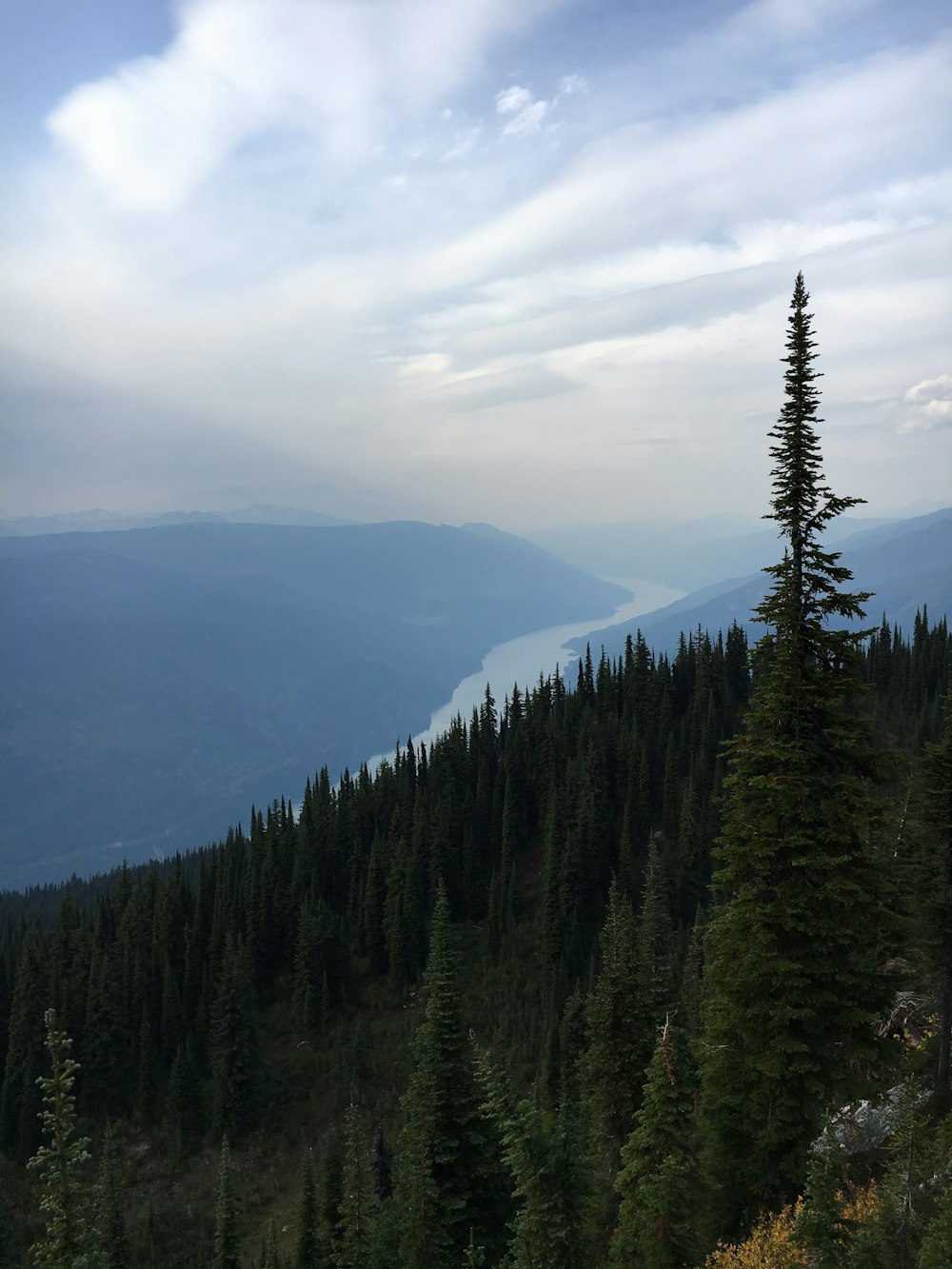 green pine trees on mountain under white clouds during daytime