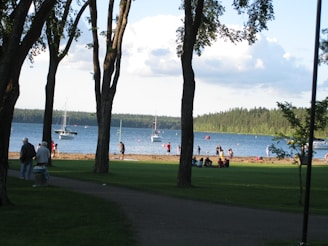A serene lakeside scene features several people enjoying a park by the water. Trees framing the foreground create a natural canopy, while sailboats dot the tranquil lake under a partly cloudy sky. Groups of people relax on the grass and sandy beach, engaging in leisure activities.
