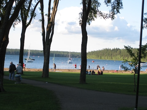 A serene lakeside scene features several people enjoying a park by the water. Trees framing the foreground create a natural canopy, while sailboats dot the tranquil lake under a partly cloudy sky. Groups of people relax on the grass and sandy beach, engaging in leisure activities.