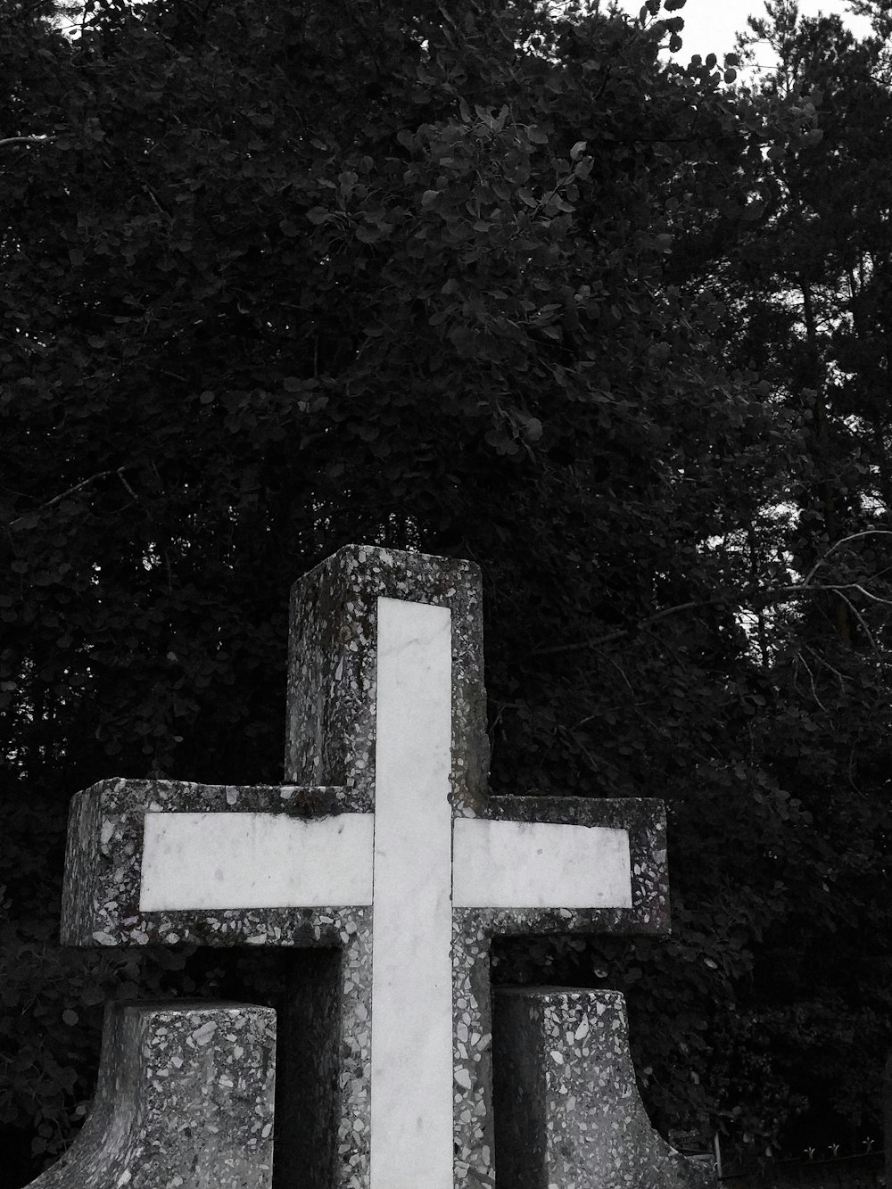 white cross on brown tree trunk