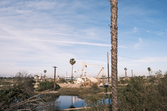 An oil field with several pumpjacks scattered across a barren landscape. Tall palm trees are interspersed among the machines, and a body of water is visible in the foreground. The sky is mostly clear with a few scattered clouds, creating a serene yet industrious setting.