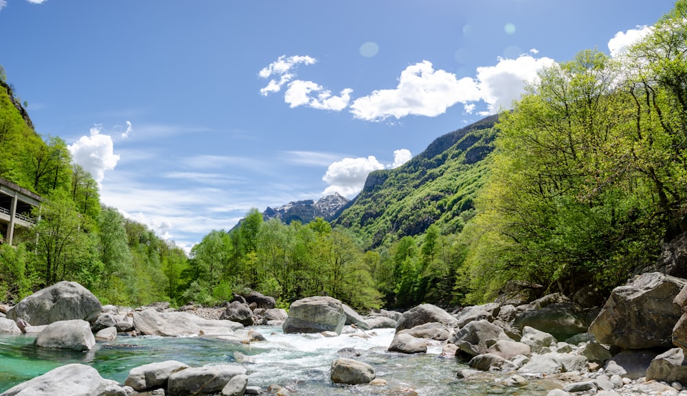 green trees and mountains under blue sky during daytime