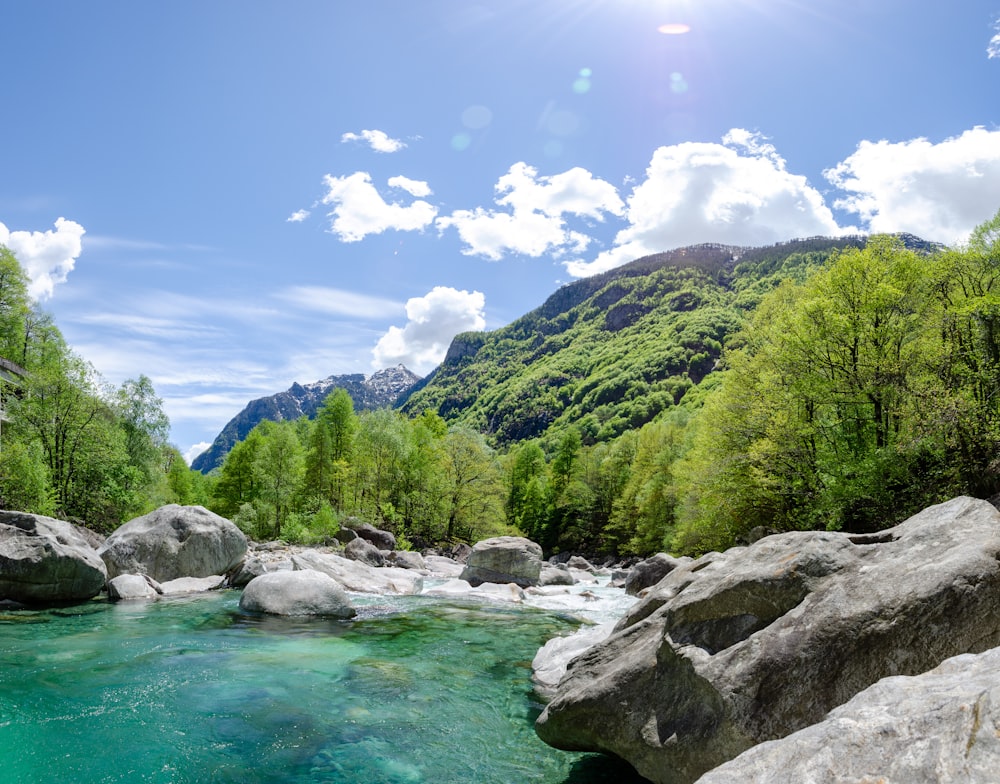 árvores verdes na montanha perto do lago sob o céu azul durante o dia