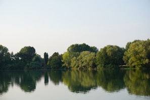 A serene lakeside view with reflections of trees and sky.