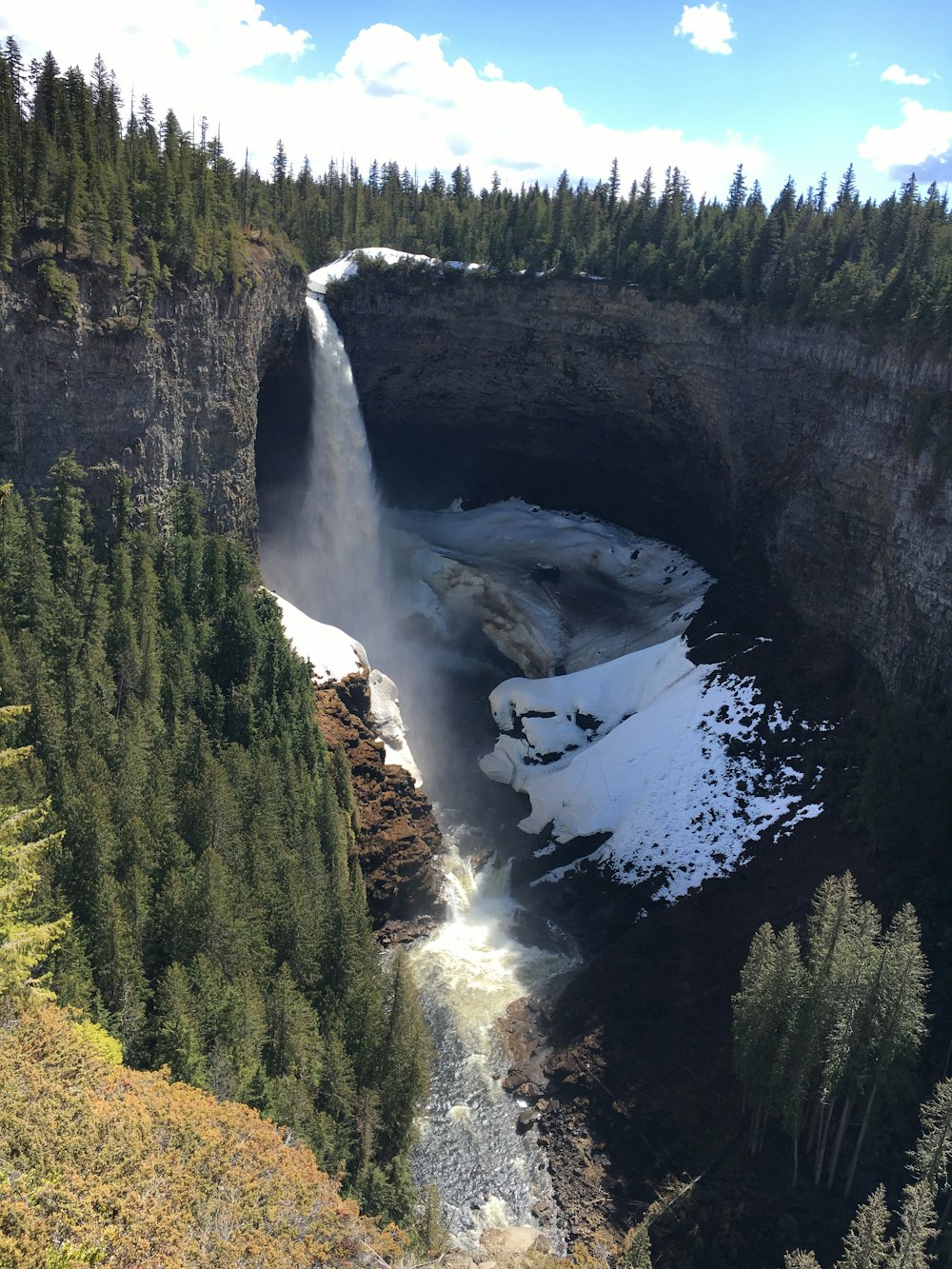 waterfalls in the middle of the forest