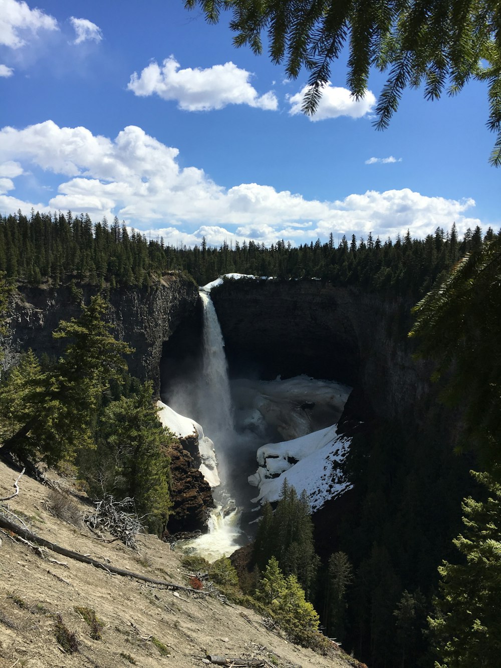 waterfalls in the middle of green trees under blue sky and white clouds during daytime