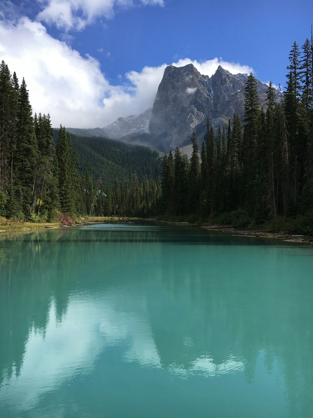 green lake surrounded by green trees and mountain under blue sky and white clouds during daytime