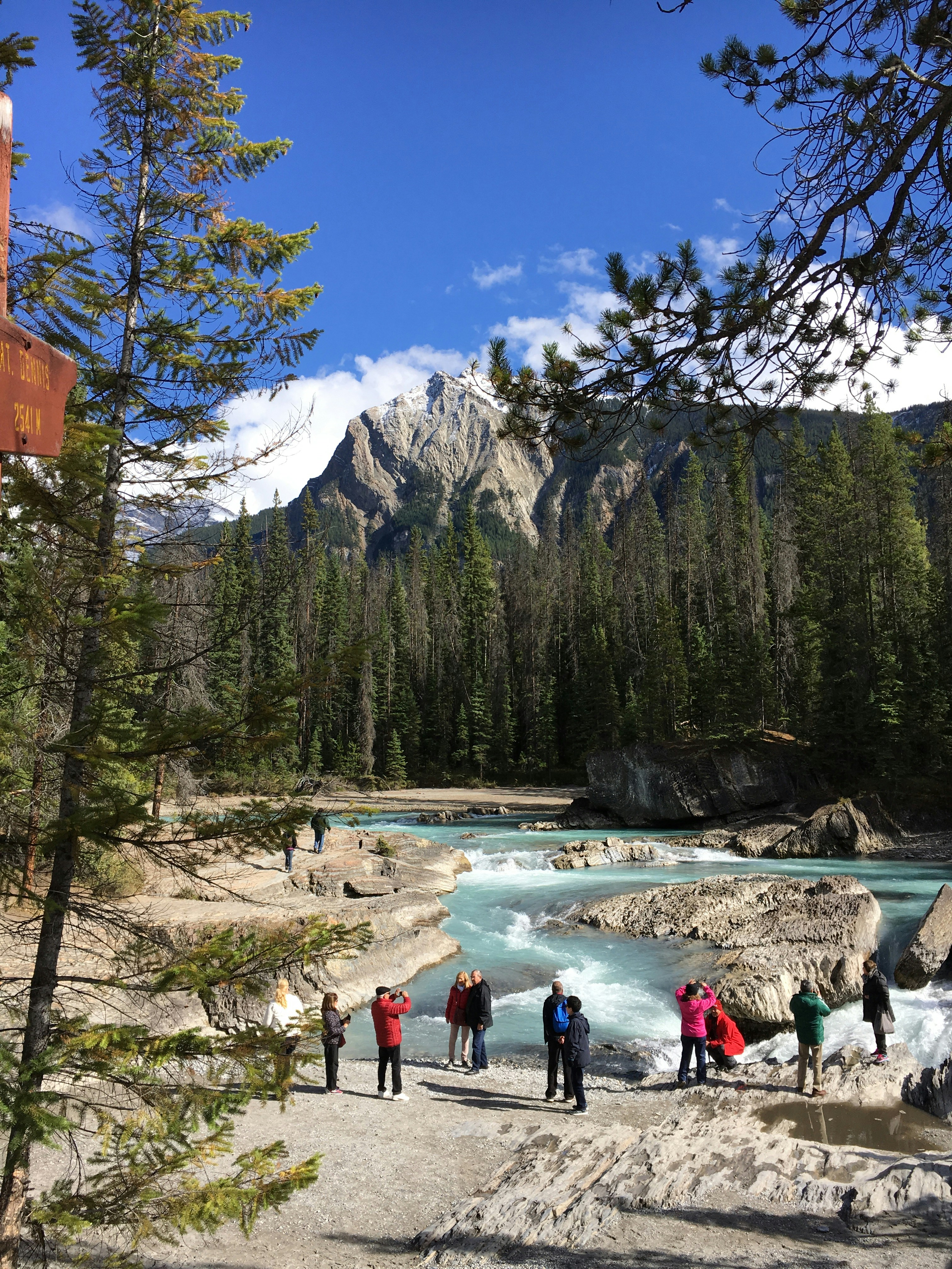 people standing on lake near trees and mountain during daytime