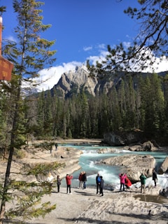 people standing on lake near trees and mountain during daytime