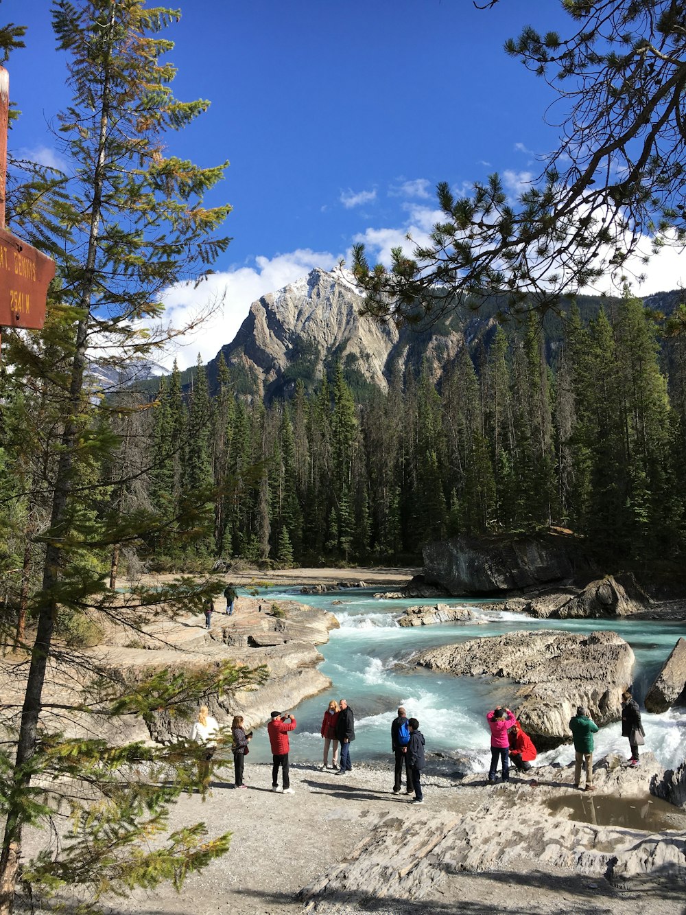 Persone in piedi sul lago vicino agli alberi e alla montagna durante il giorno