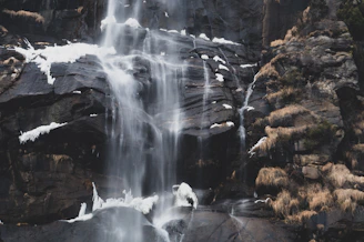 water falls in the middle of brown trees