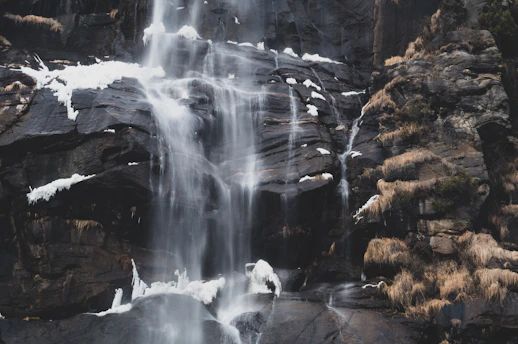 water falls in the middle of brown trees