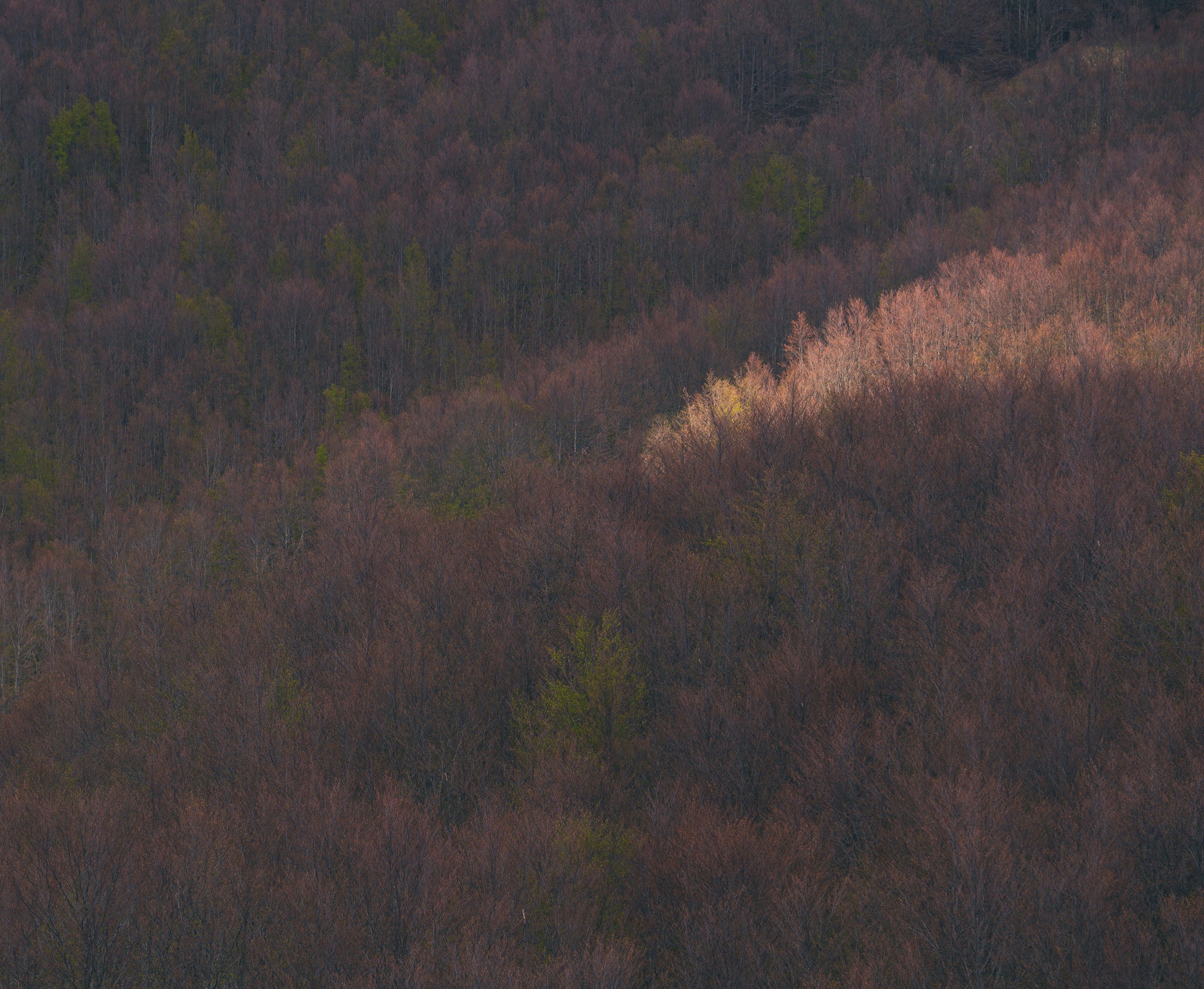 DIY Teleprompter Setup