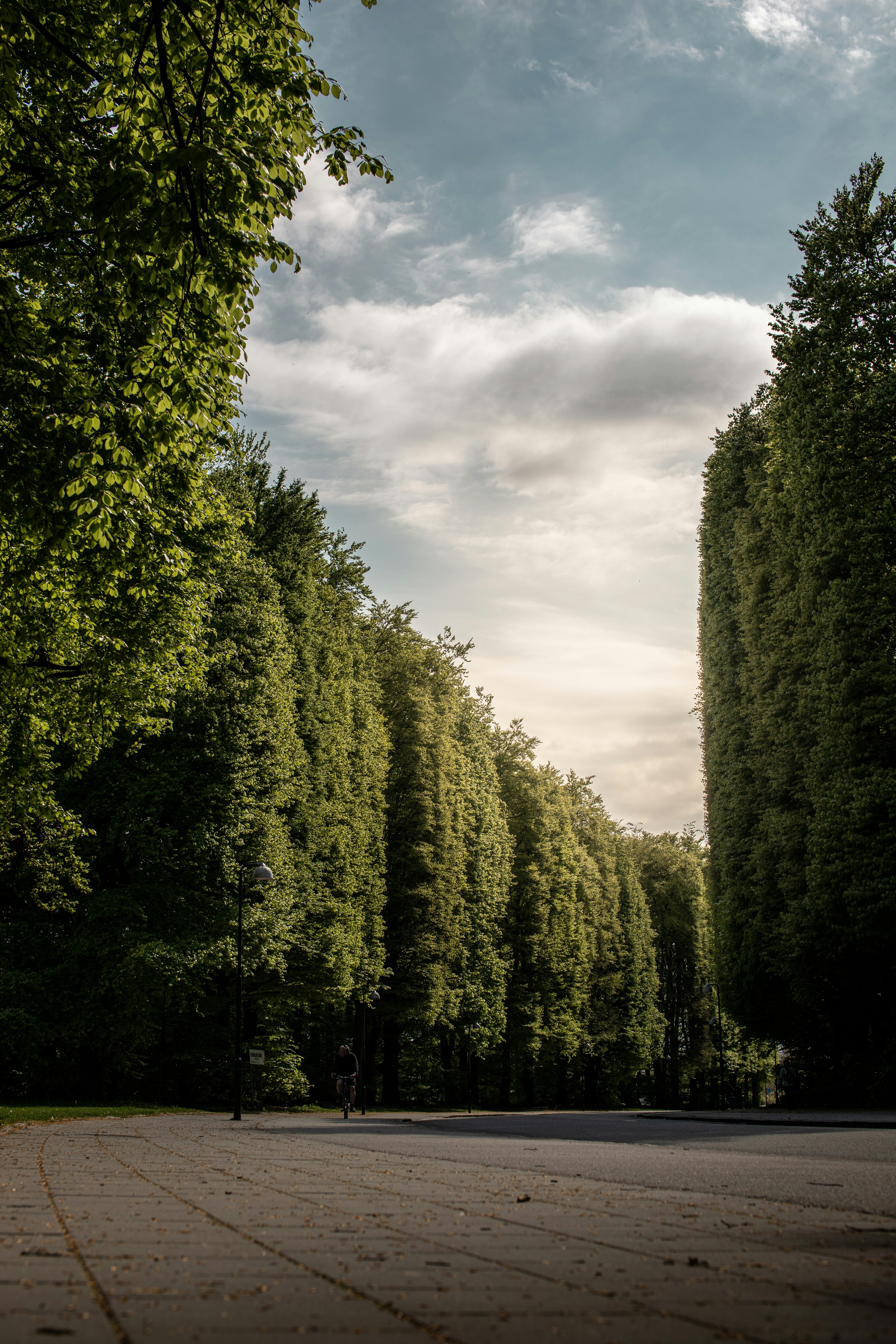 Photo by karlhornfeldt