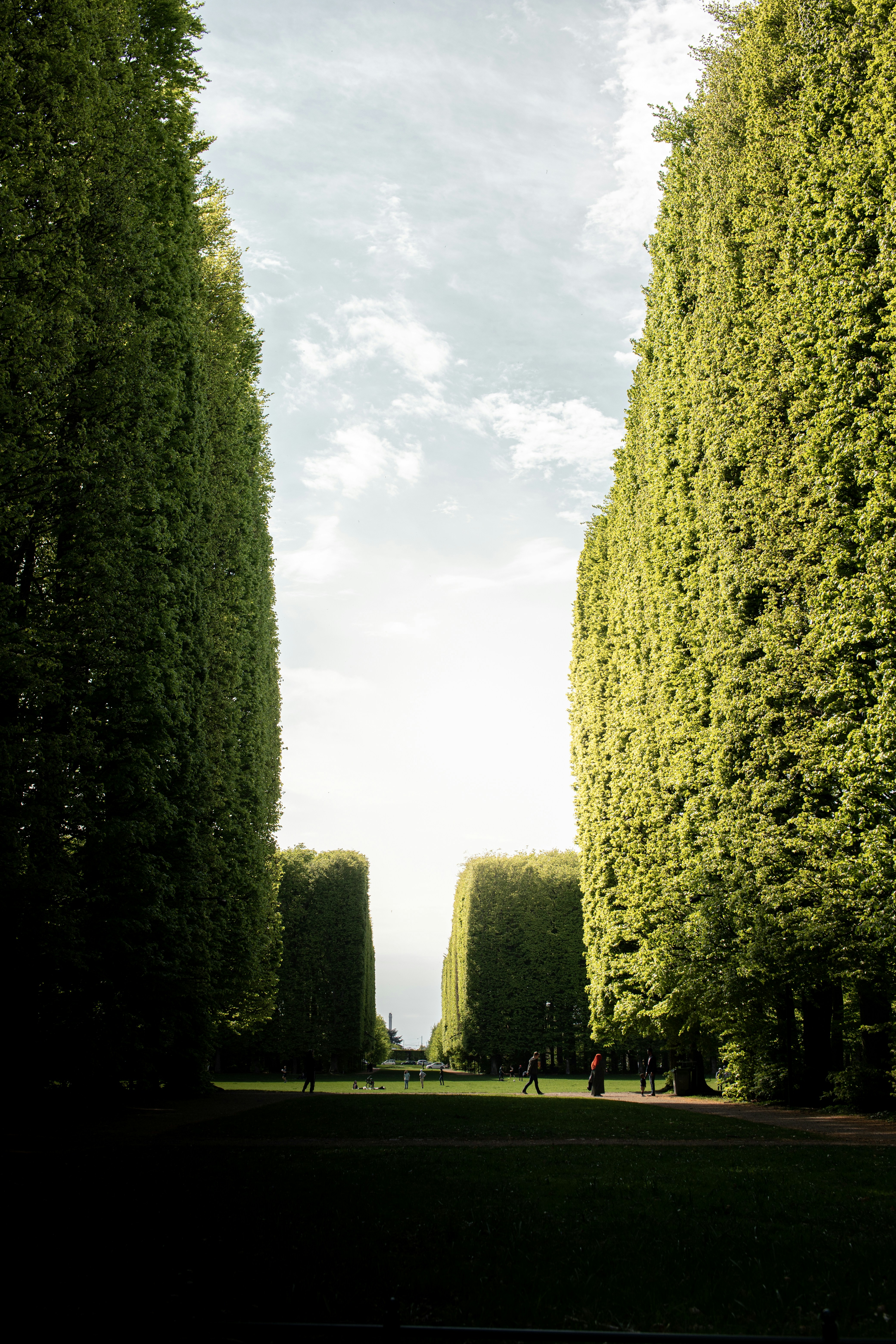 Photo by karlhornfeldt