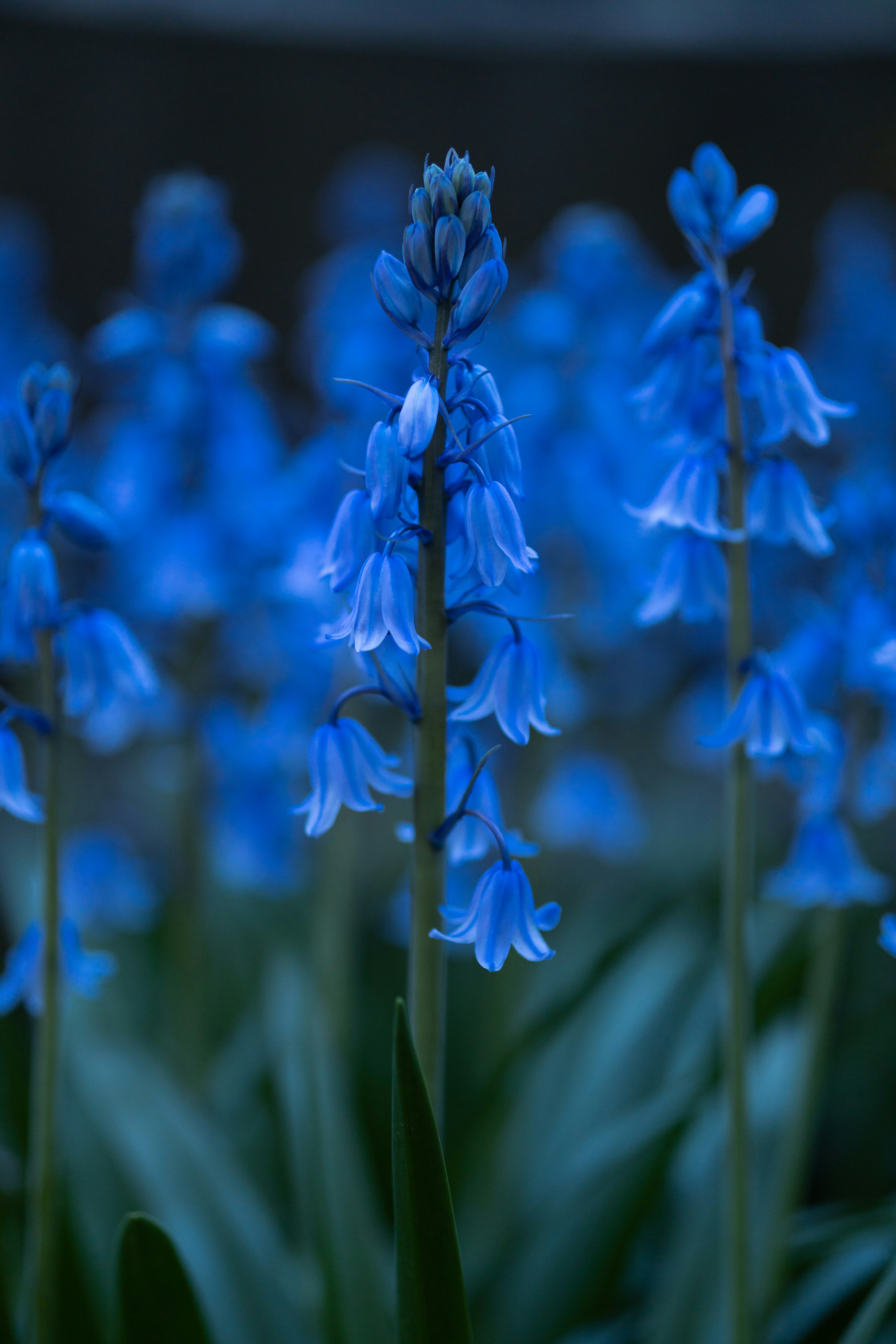 Photo by nutronix