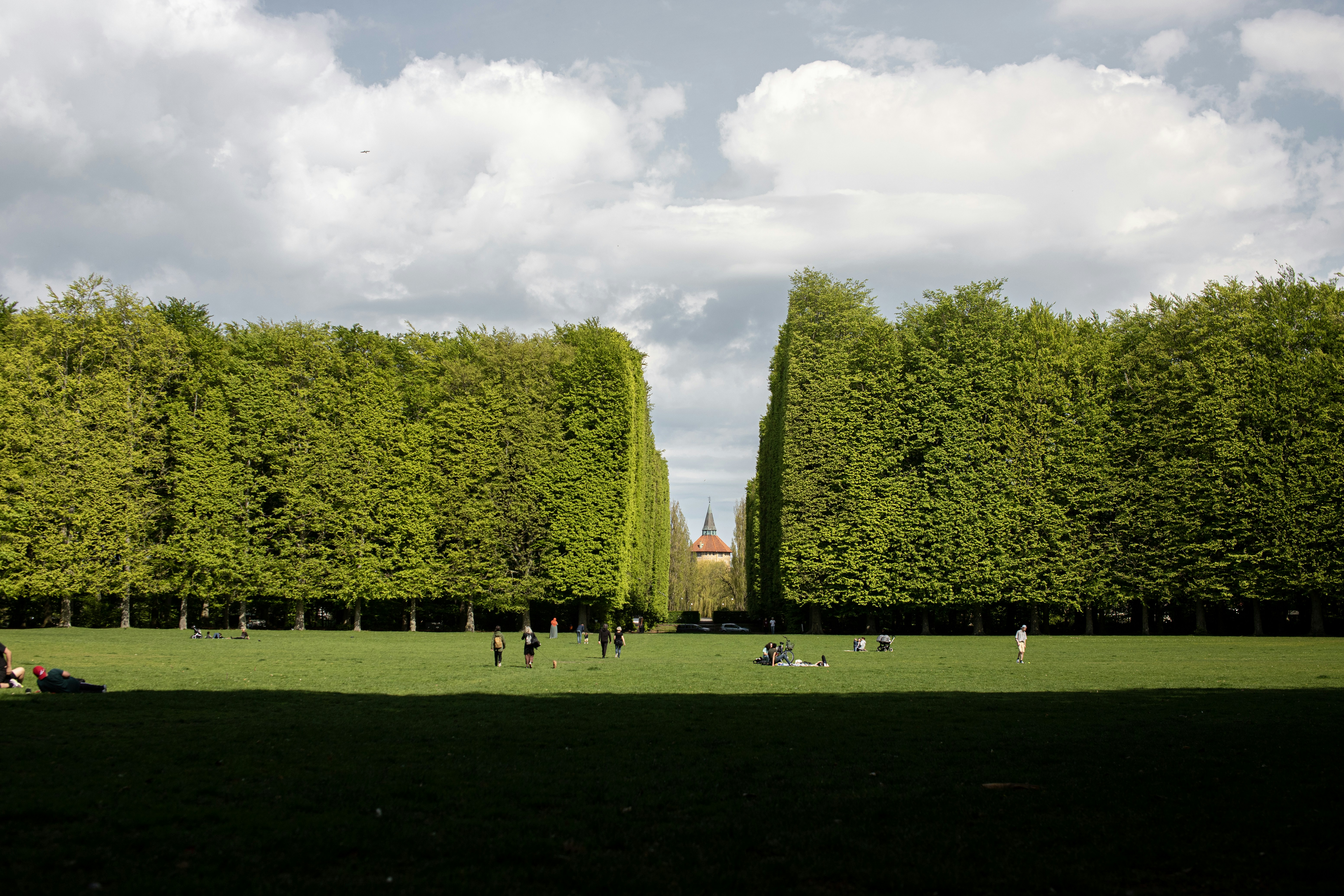 The Grove