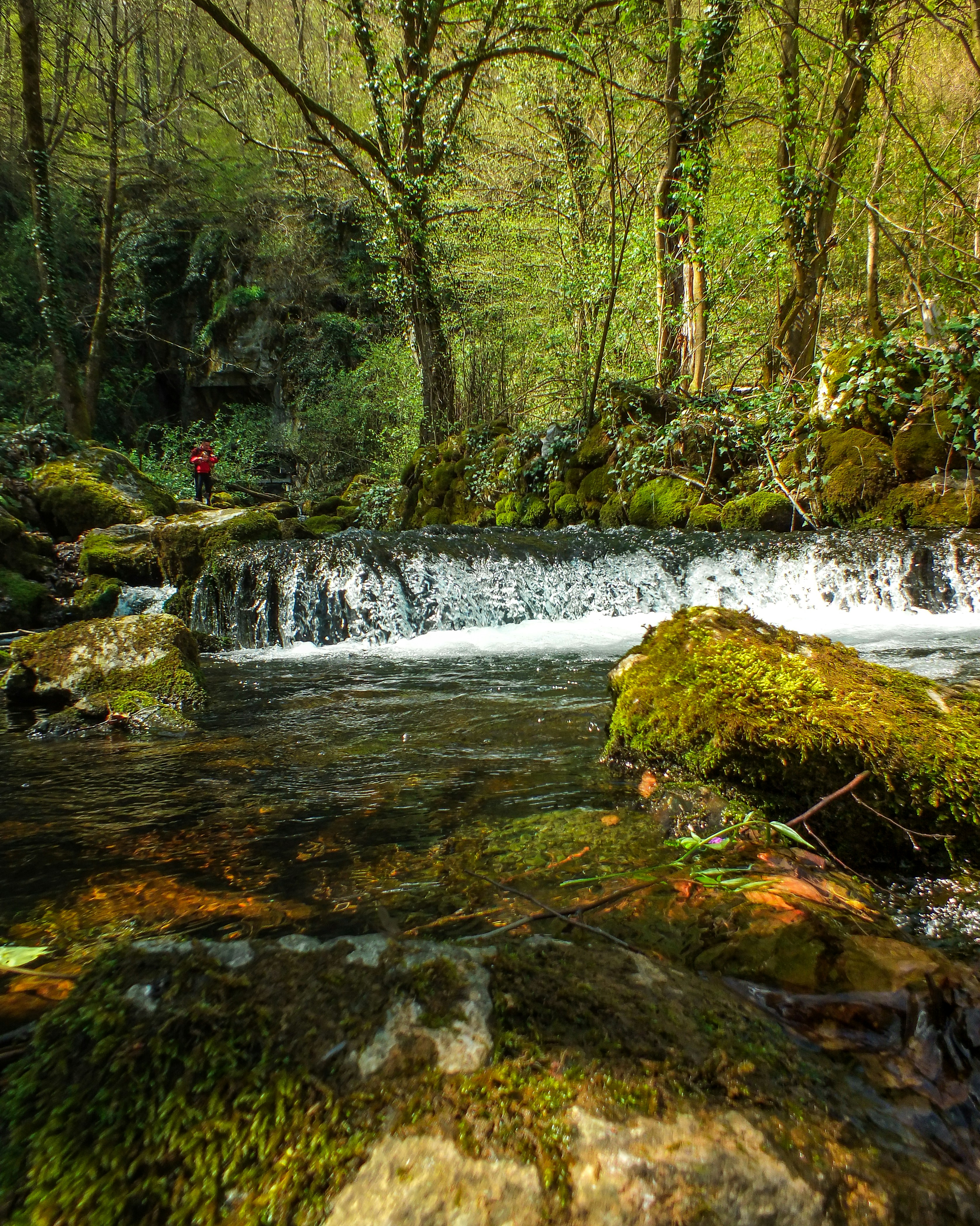 person in red jacket standing on rock near river during daytime