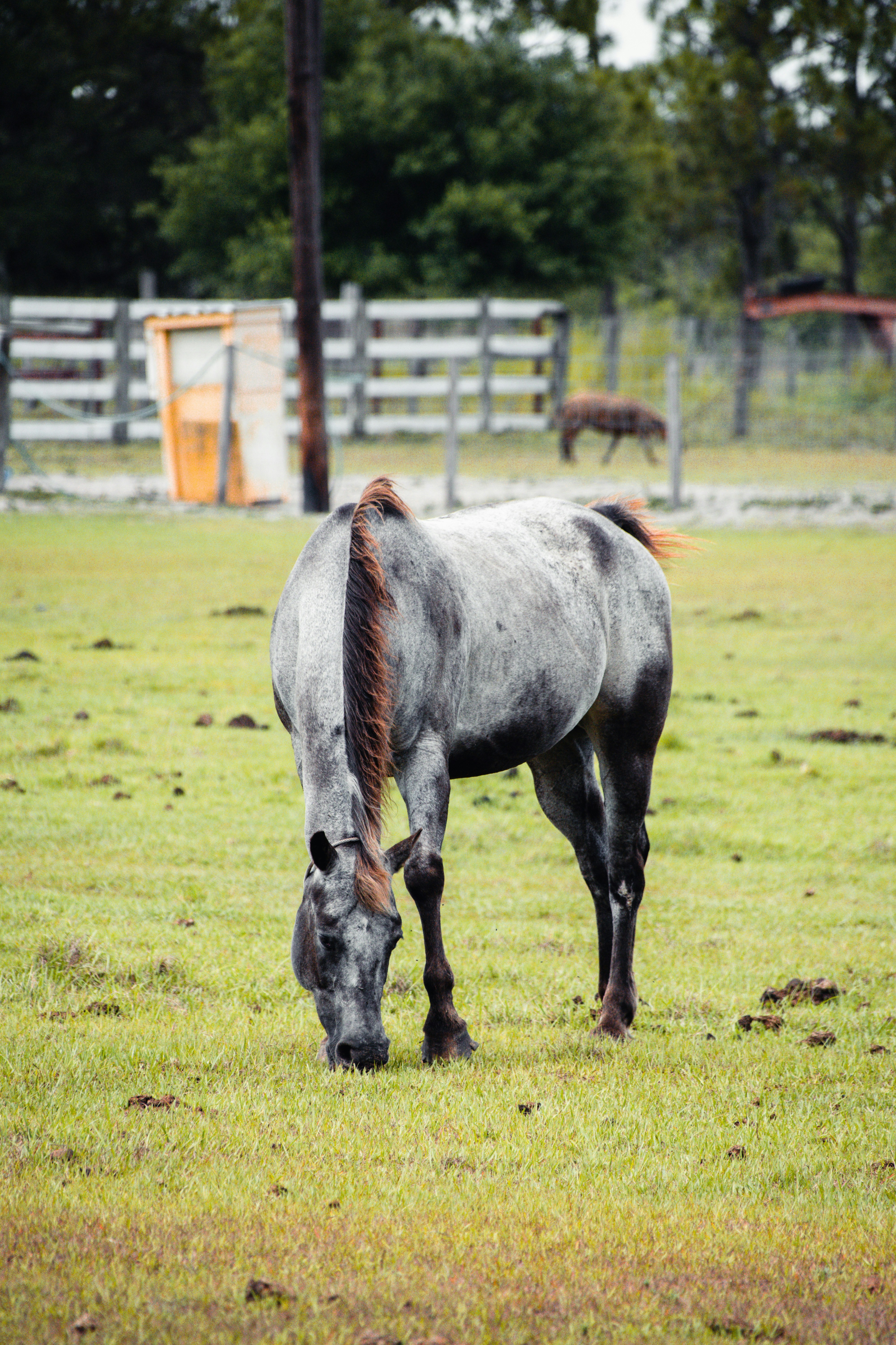 Photo by longlivehaas