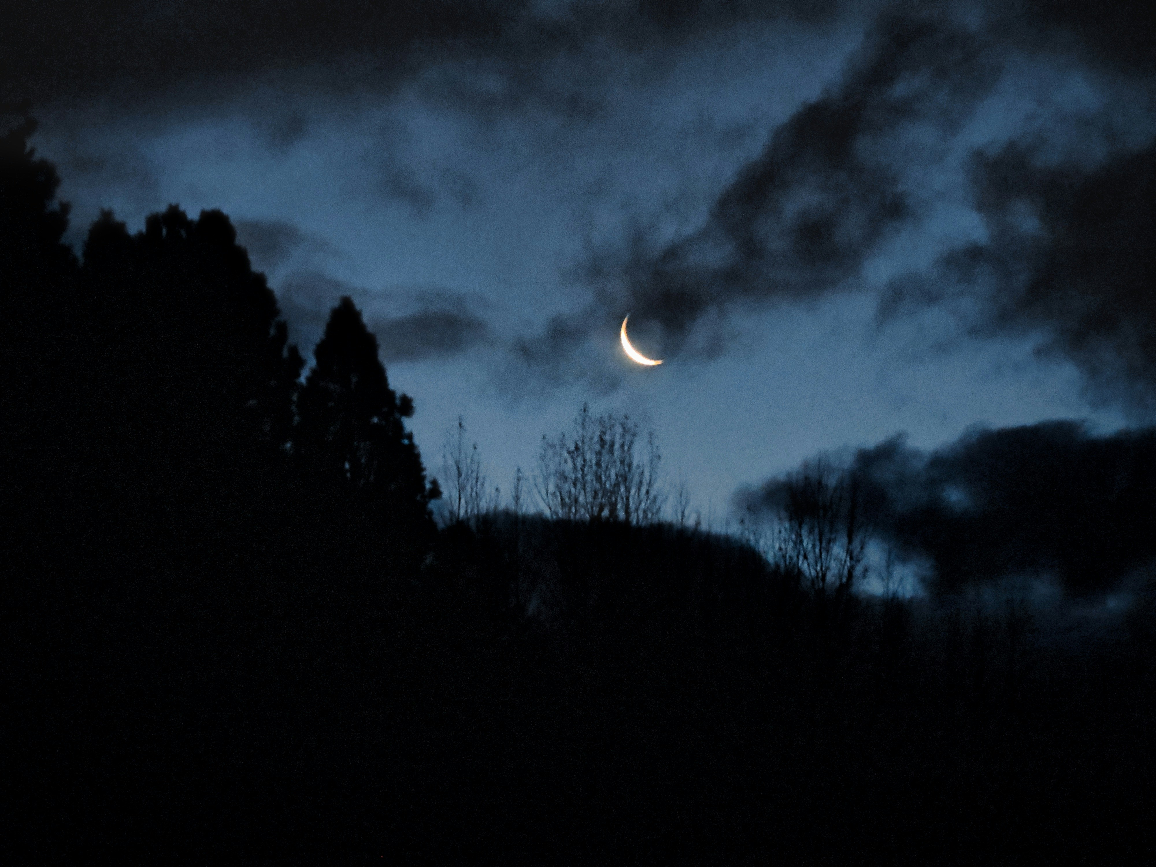 Photo by matgo