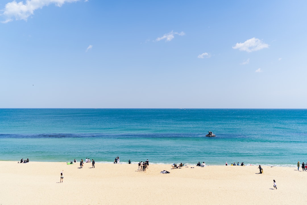 people on beach during daytime