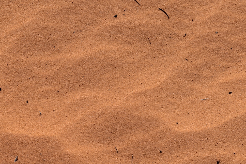 brown sand with green grass