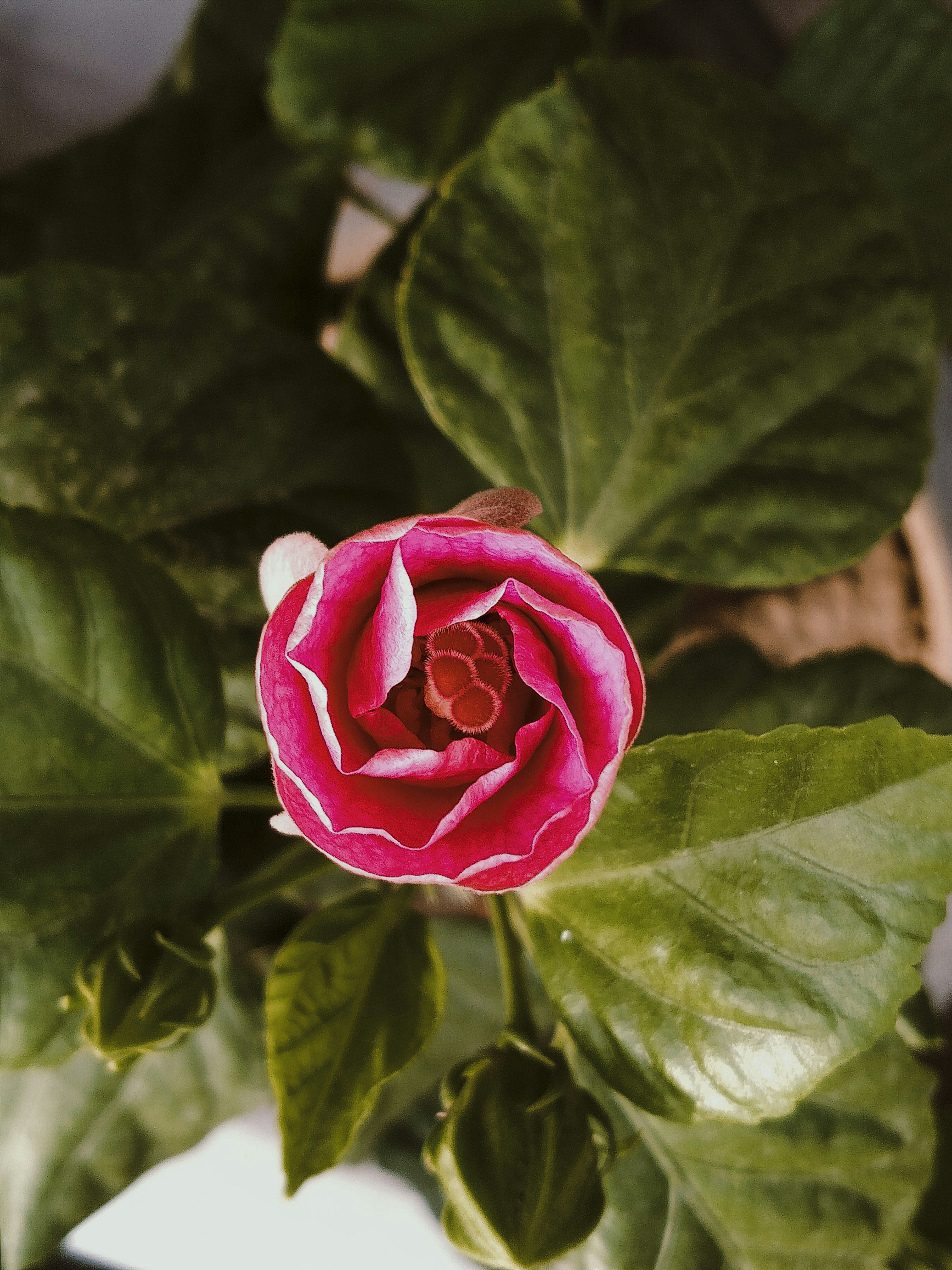 Photo by justcapturingit