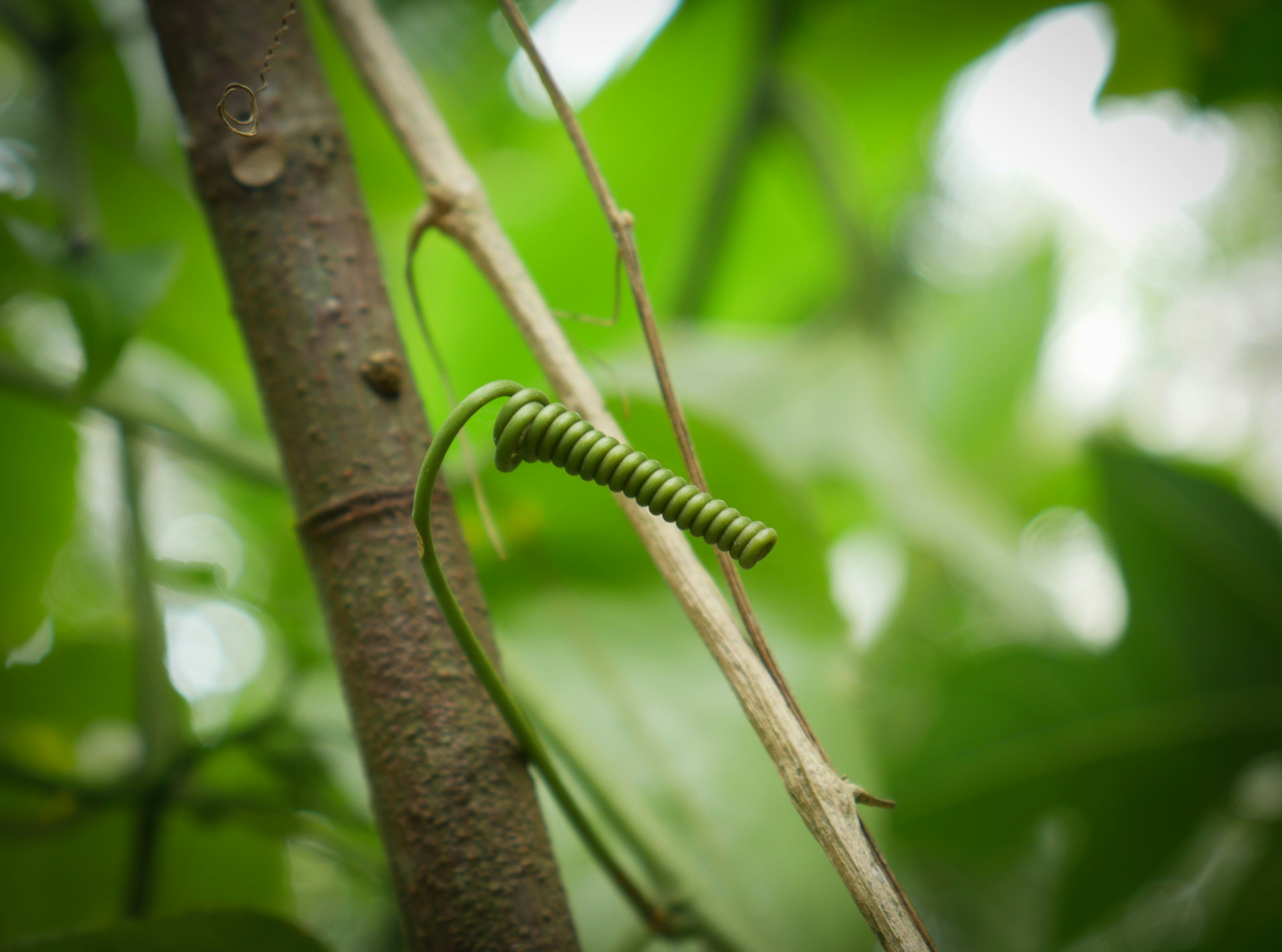 Photo by dark_matter_09