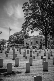 A serene cemetery with rows of white headstones neatly arranged on a grassy field. A large tree provides shade, with its branches stretching over a memorial structure in the background. An American flag on a pole stands prominently, fluttering against a partly cloudy sky.