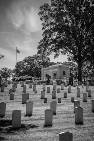A serene cemetery with rows of white headstones neatly arranged on a grassy field. A large tree provides shade, with its branches stretching over a memorial structure in the background. An American flag on a pole stands prominently, fluttering against a partly cloudy sky.
