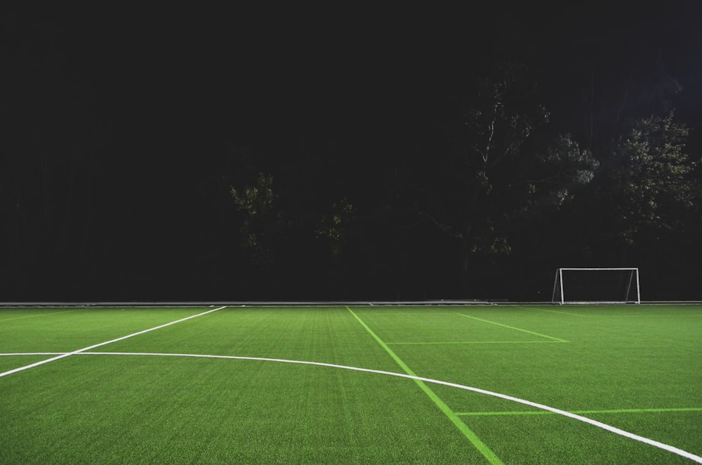 green grass field during night time