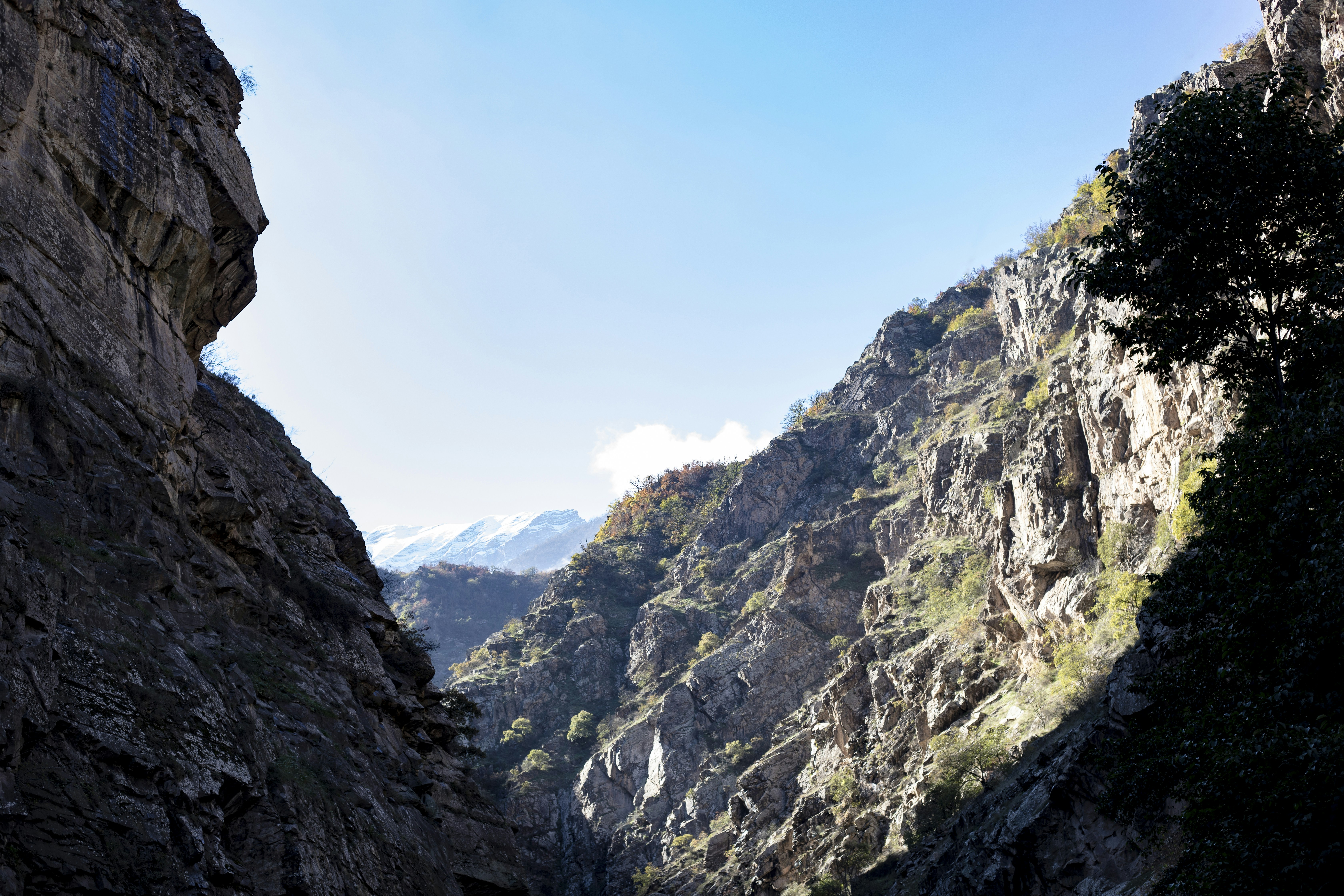 remédio para emagrecer 2