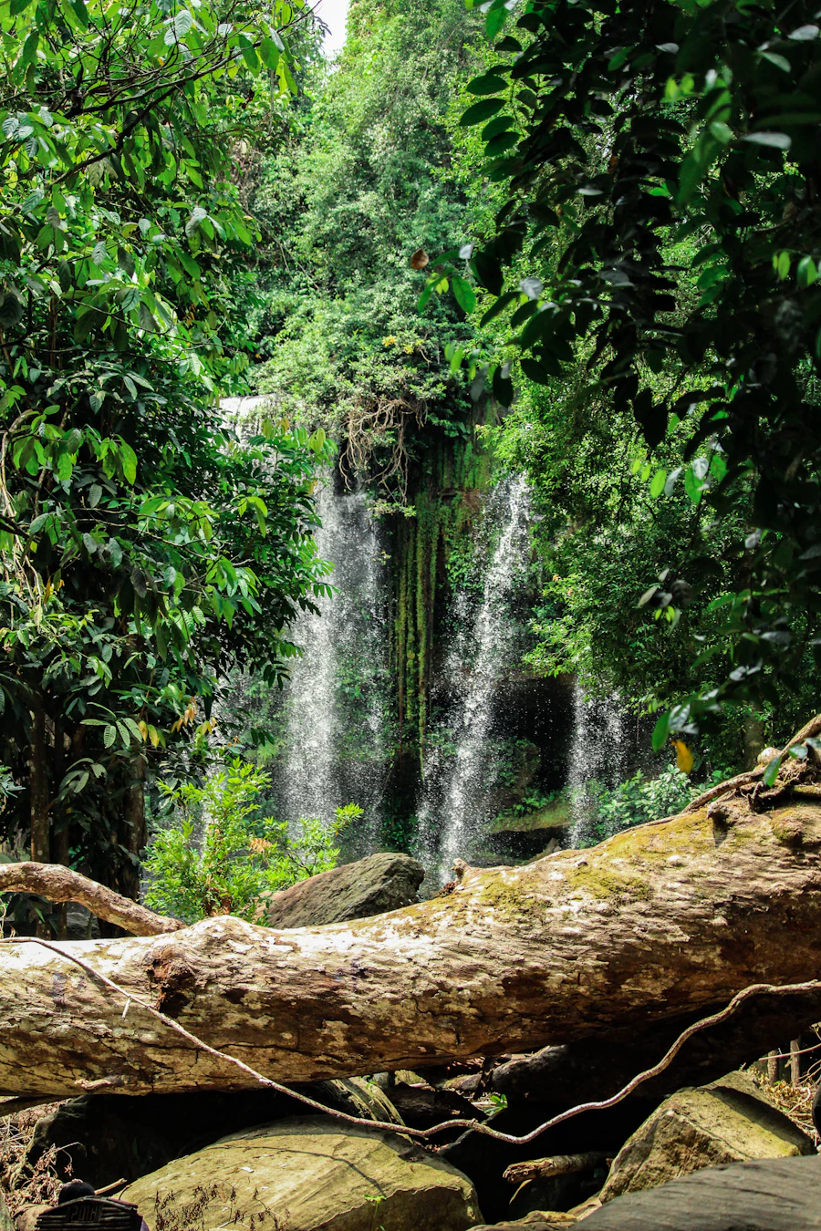 Waterfall in the jungle on Phnom Kulen, the sacred mountain near Siem Reap, Cambodia