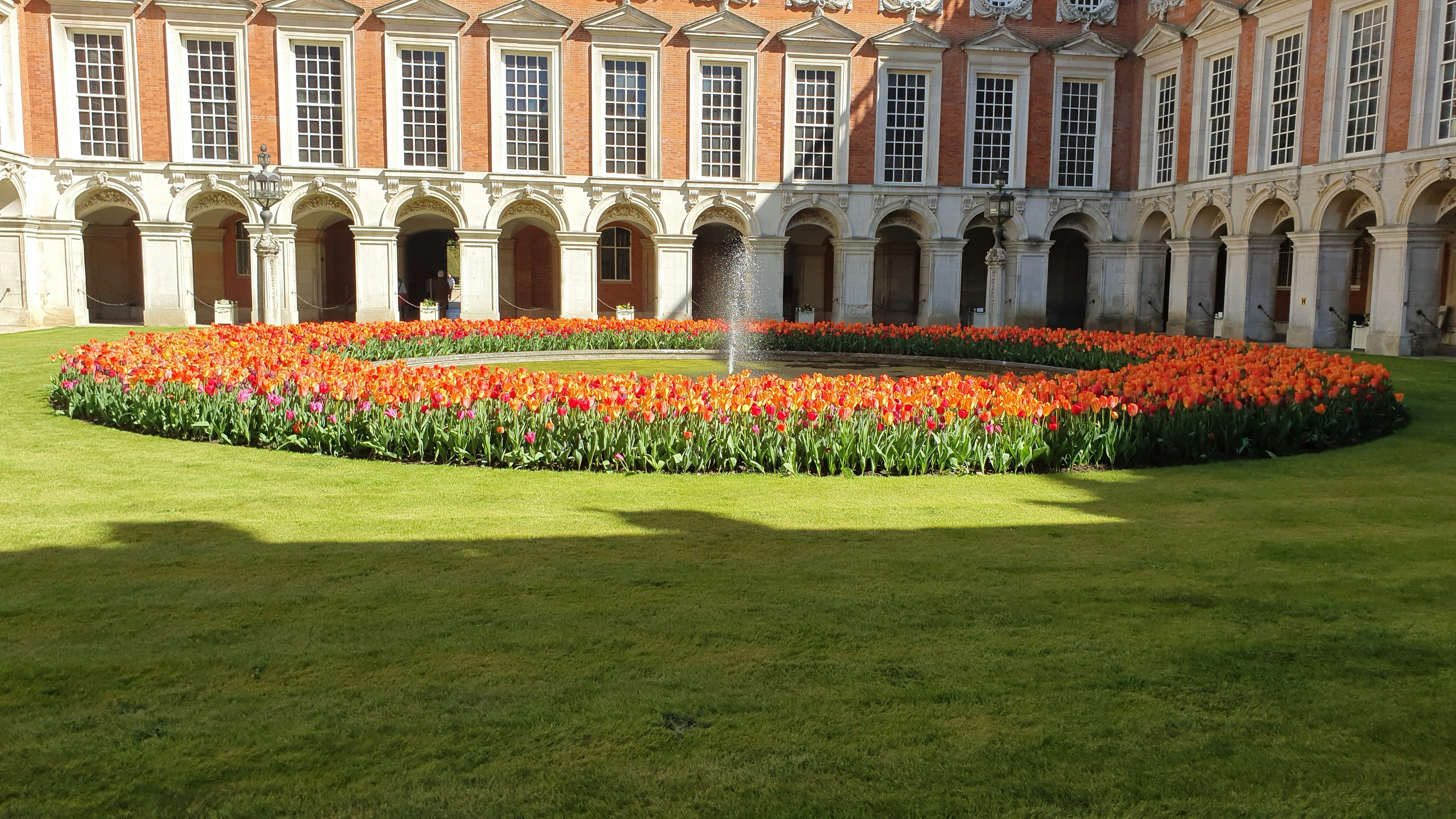 red flowers on green grass field near brown concrete building during daytime