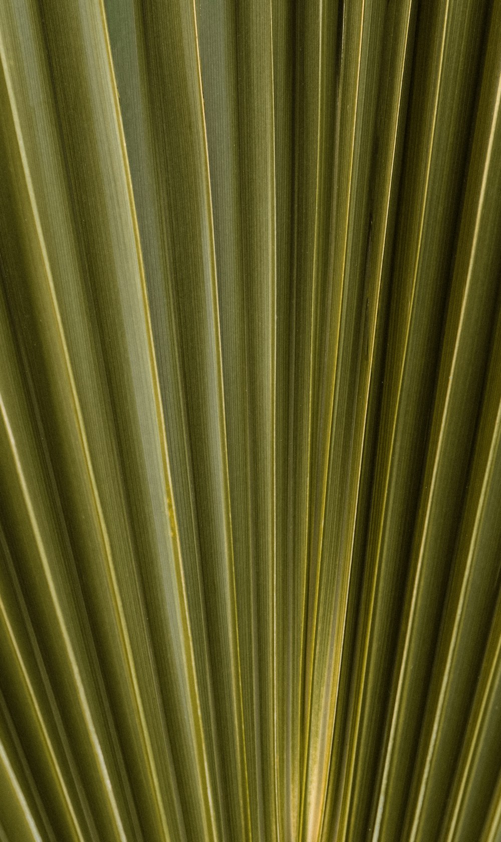 white and gray striped textile