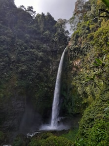 waterfalls in the middle of green trees