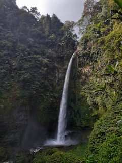waterfalls in the middle of green trees
