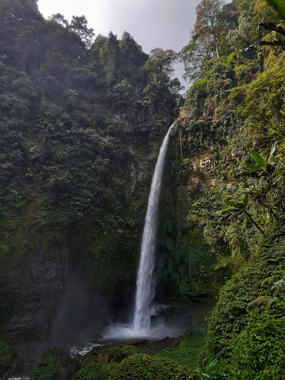 waterfalls in the middle of green trees