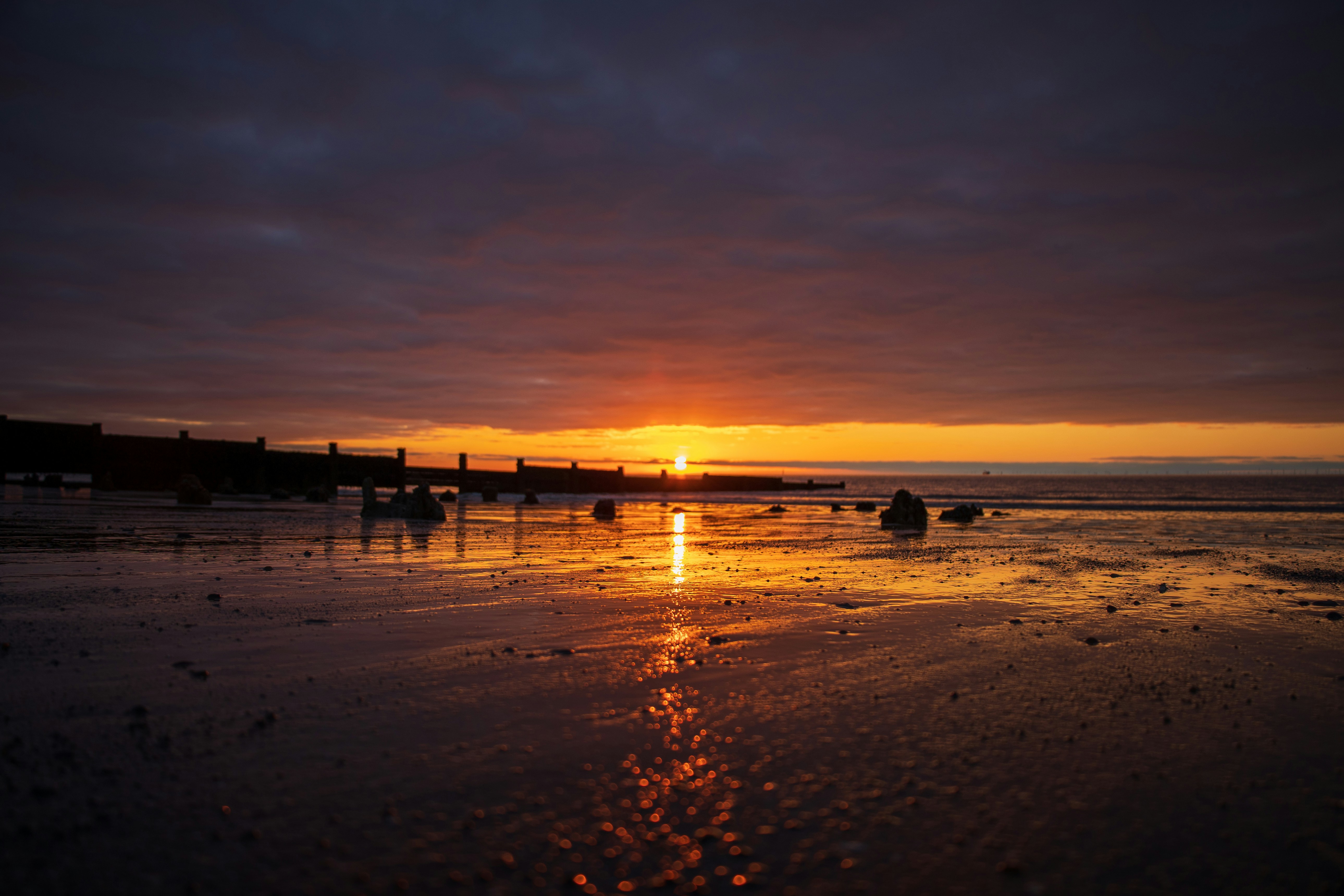 Photo by octopus_photo