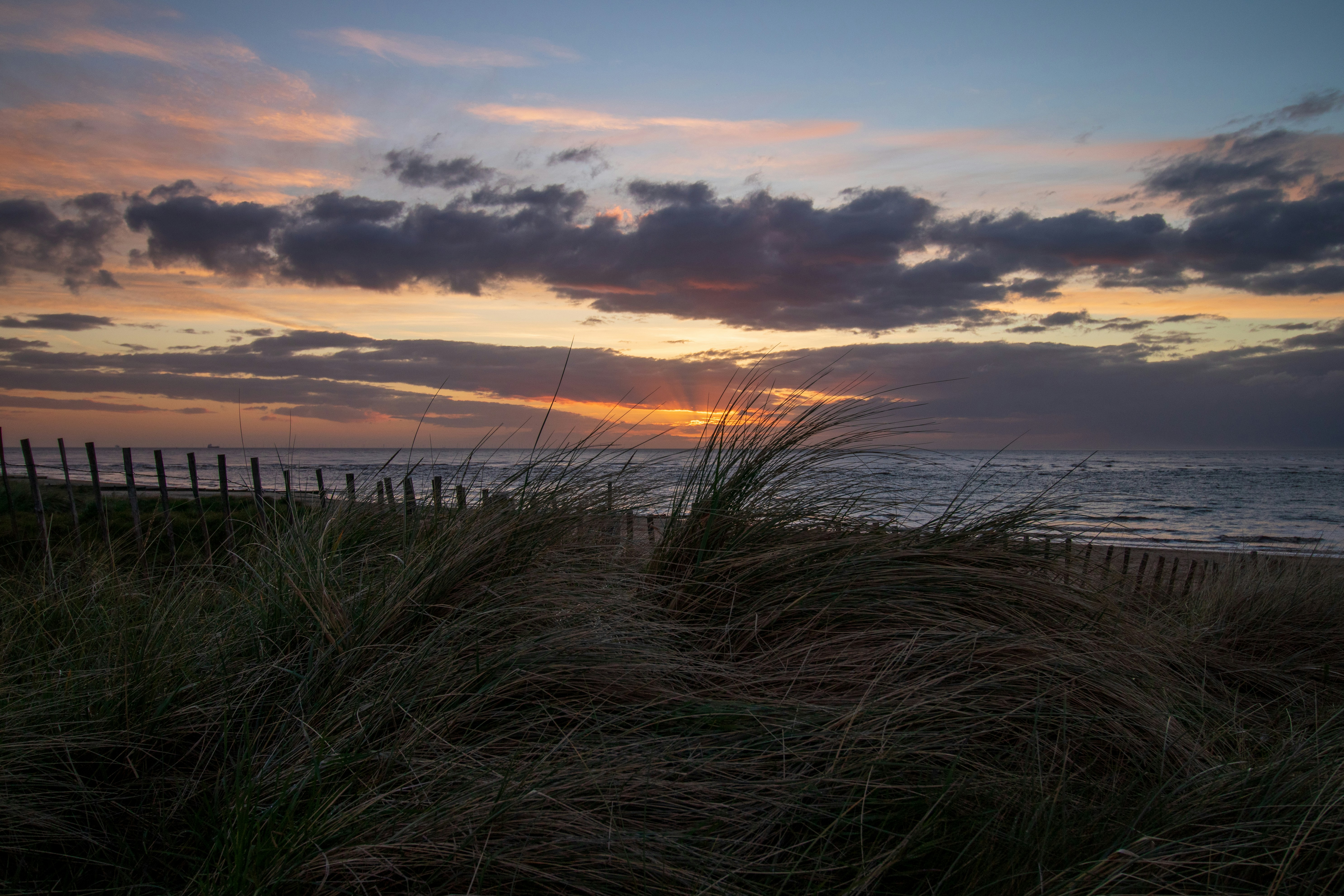 Photo by octopus_photo