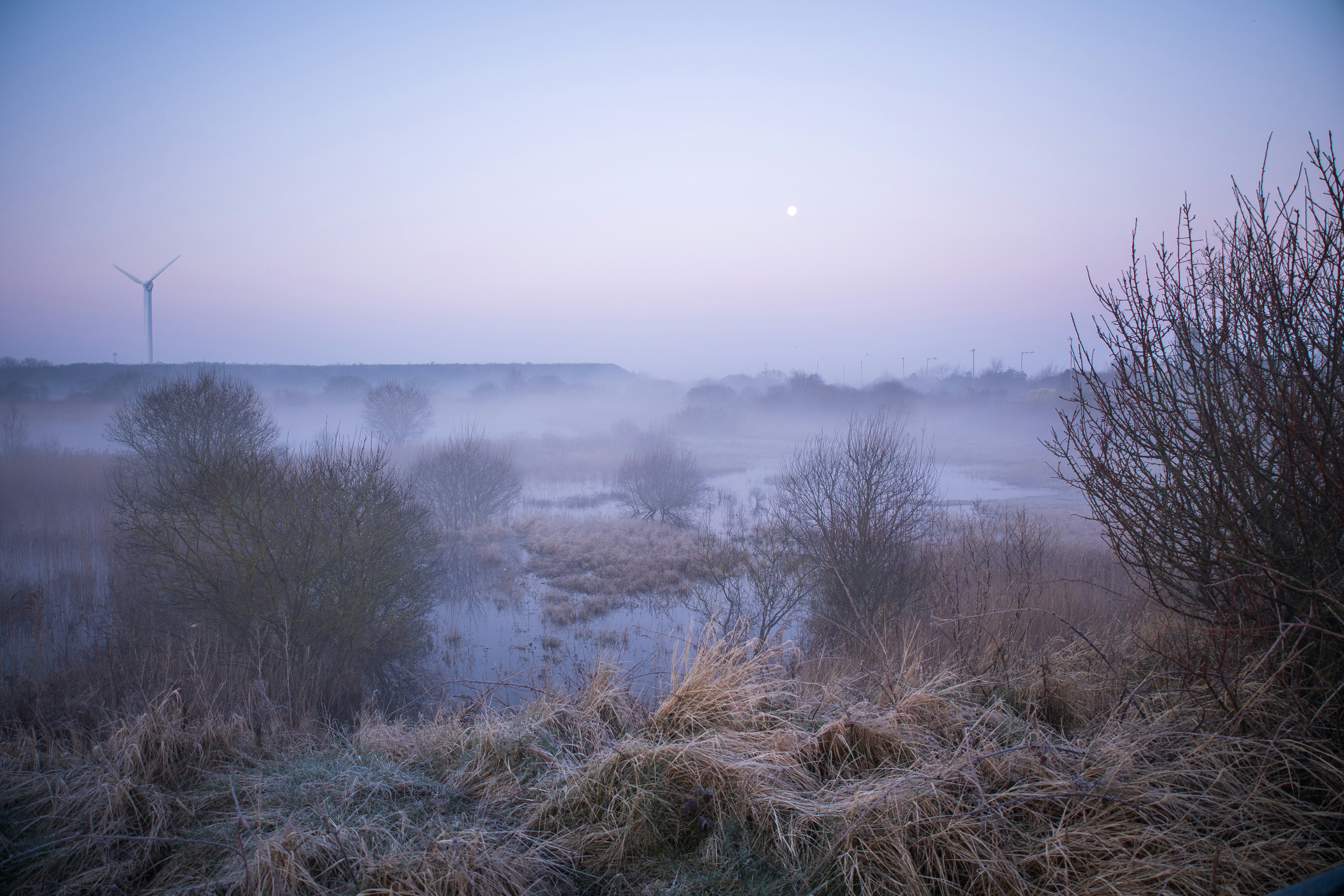 Photo by octopus_photo