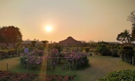 Sunset view over a well-maintained flower bed in a Saudi Arabian garden.