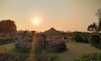 A skilled landscaper carefully planting vibrant flowers along a garden path at sunset.