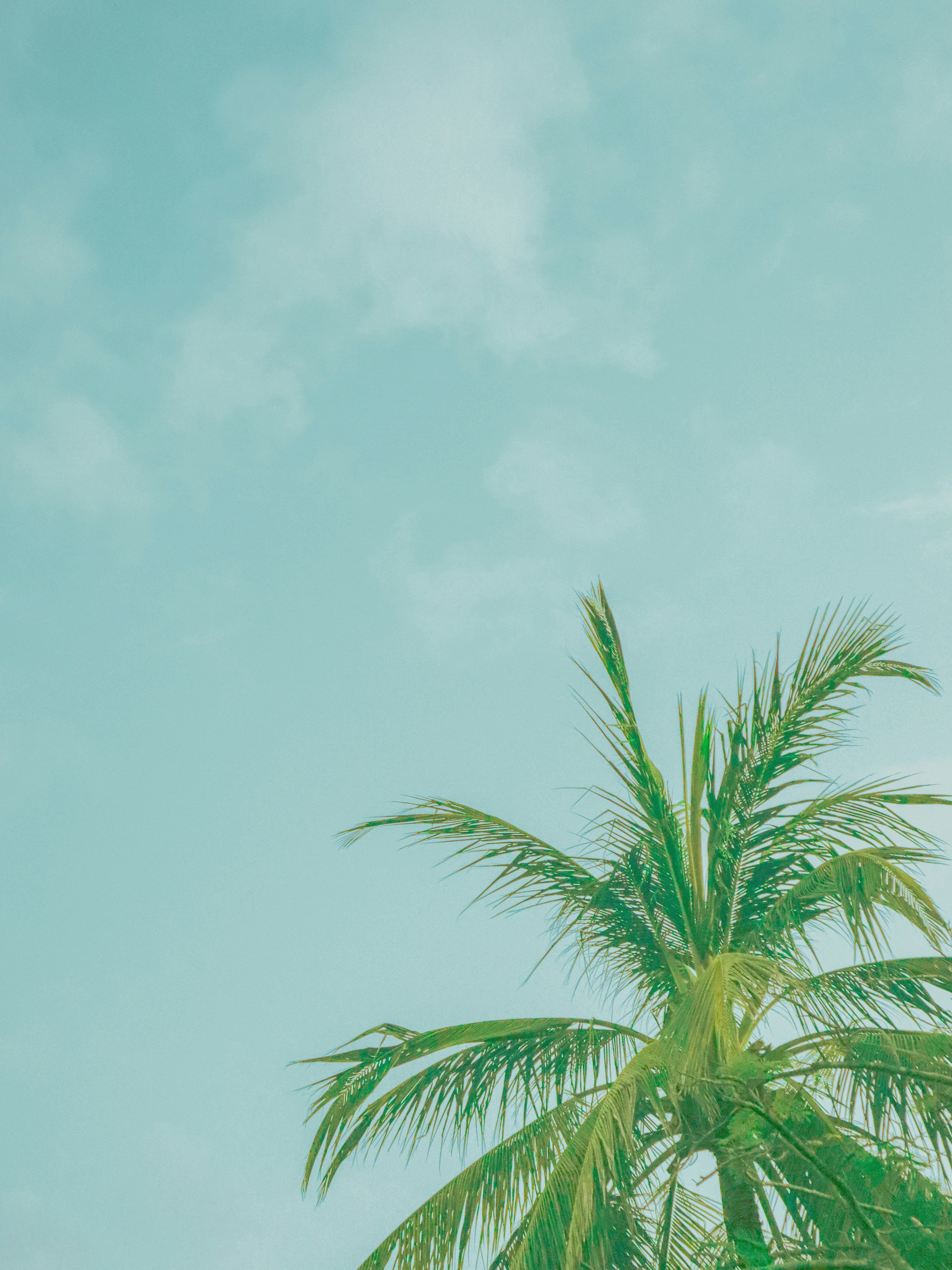 Photo by thedancingrain