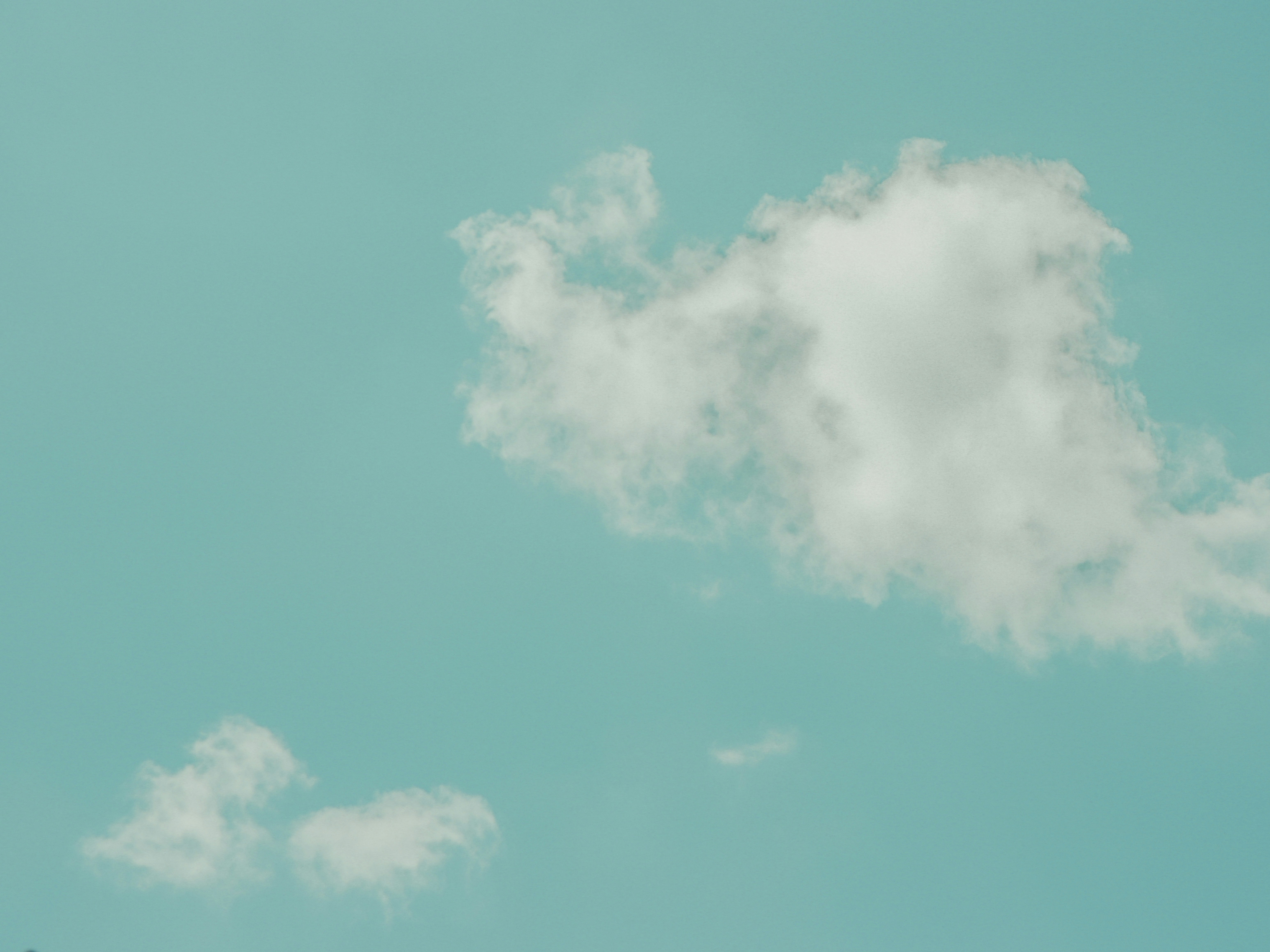 Photo by thedancingrain