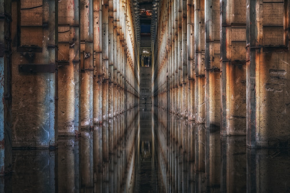 brown and black tunnel during daytime